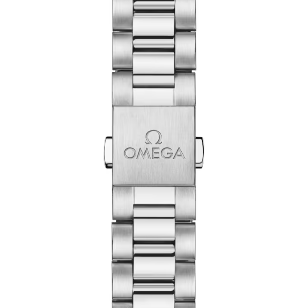 Seamaster Railmaster Ref. 235.10.38.20.06.001 - Image 6